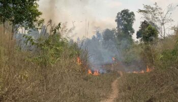 в регионе обнаружено 6 тысяч горячих точек