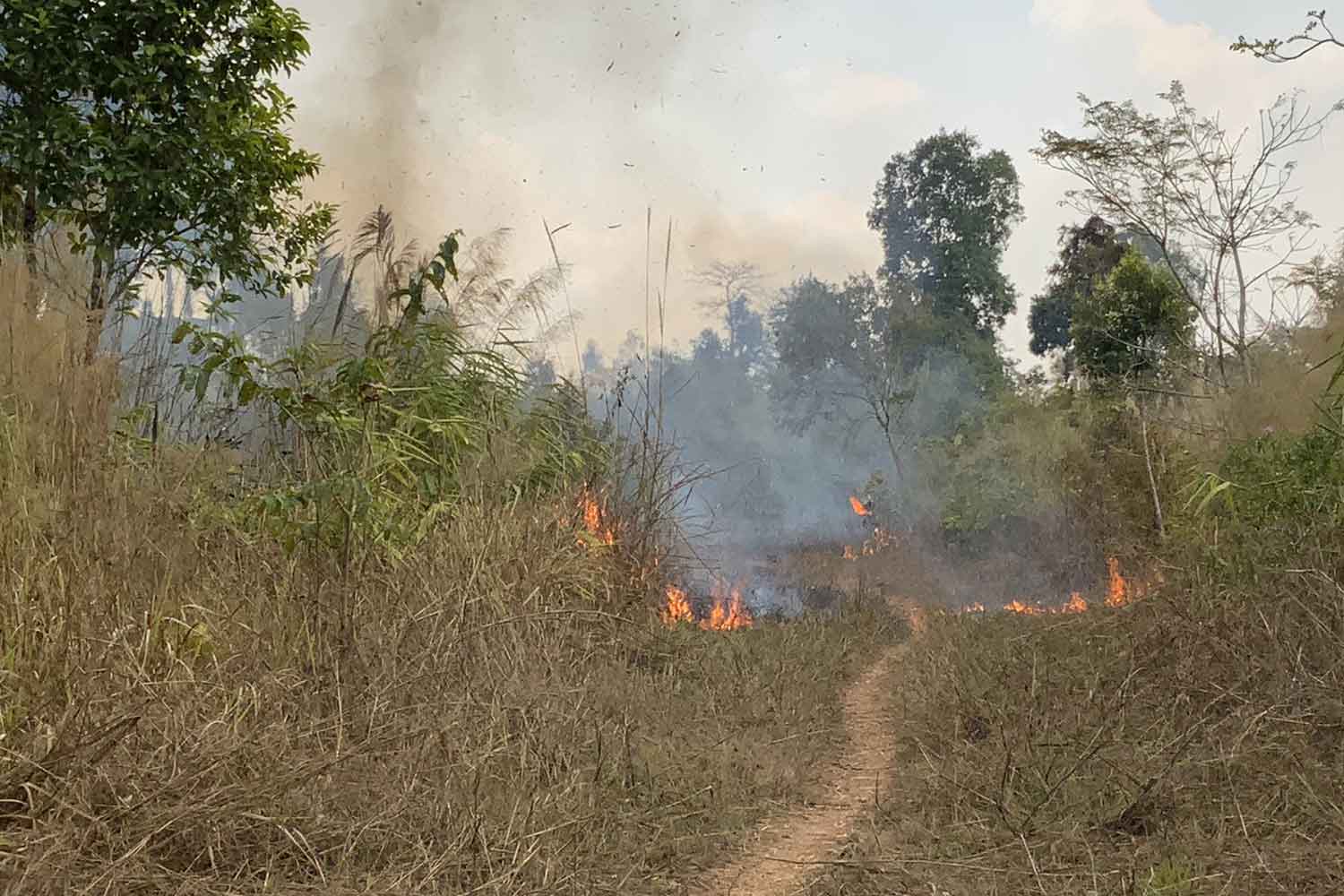 в регионе обнаружено 6 тысяч горячих точек