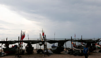 Магазины каннабиса на Пхукете предупреждают о новой волне проверок