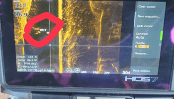 Поиски пропавшего британского байдарочника продолжаются