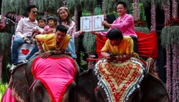 Пхукет сдал кровь в День святого Валентина