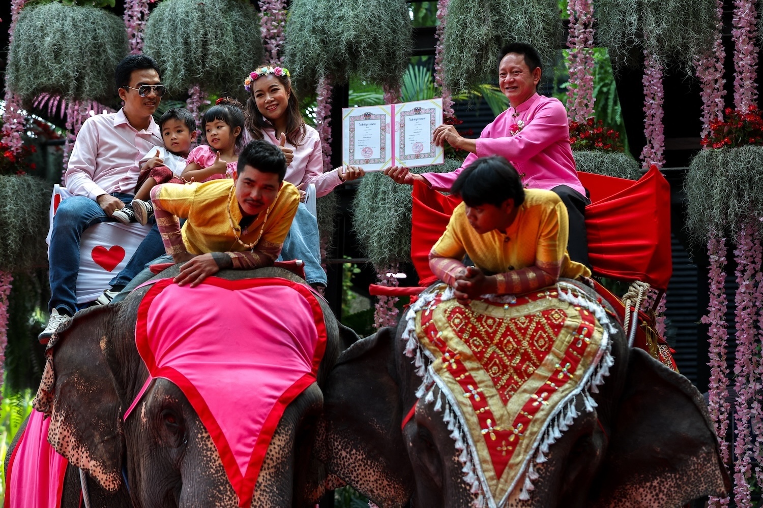 Пхукет сдал кровь в День святого Валентина