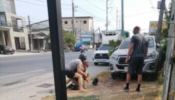 2 новозеландцам запрещен въезд в Таиланд после нападения на полицейского на Пхукете