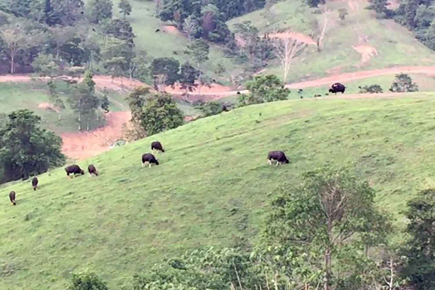 Власти нацелены на взяточничество в ходе земельной реформы