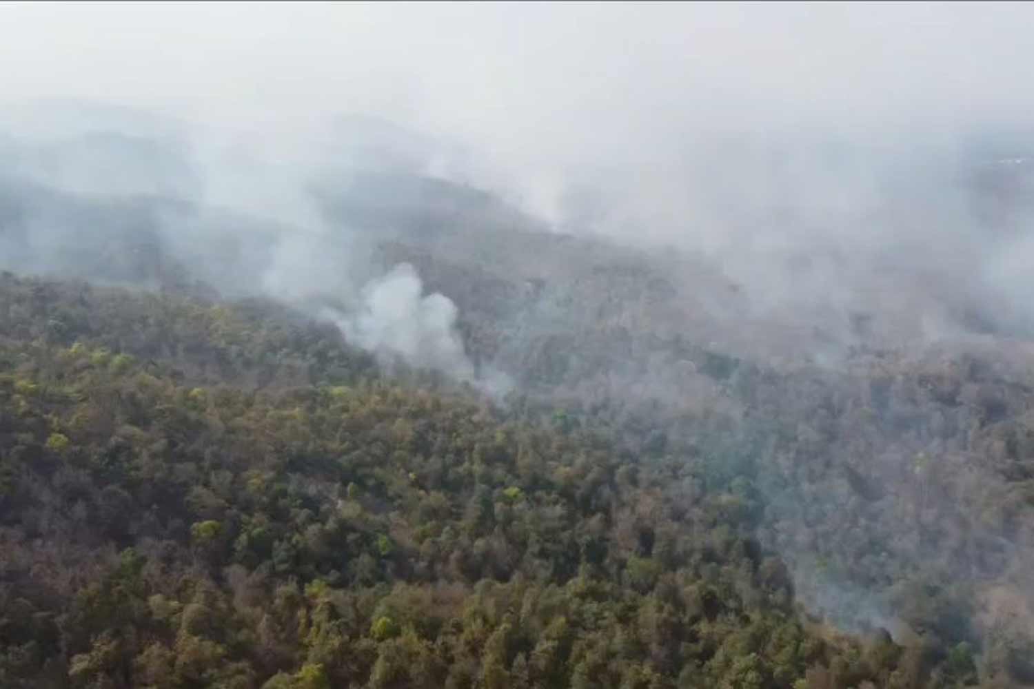 Опасный смог в 48 провинциях