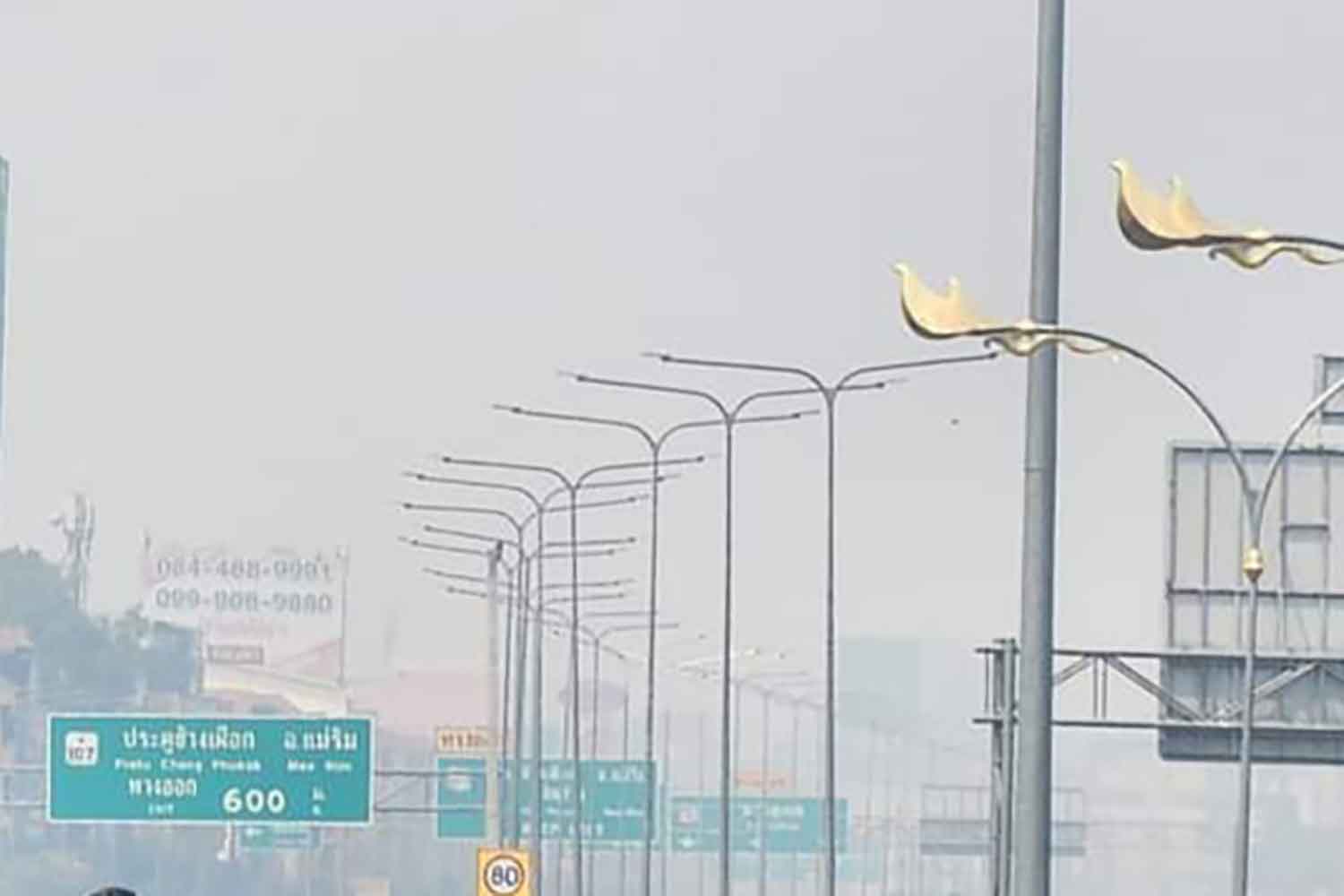 Чиангмай назначил вознаграждение в размере 10 000 бат за сообщение о поджогах лесов