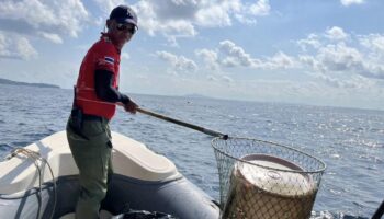 Парк сражается с растущей волной мусора