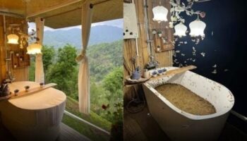 Подслушано: ванна путешественника из Чиангмая с лепестками роз пострадала от нашествия насекомых