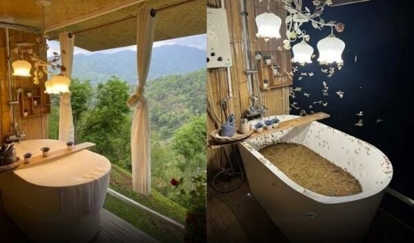 Подслушано: ванна путешественника из Чиангмая с лепестками роз пострадала от нашествия насекомых