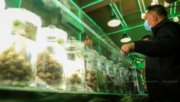 Разрабатывается система выдачи разрешений на использование каннабиса