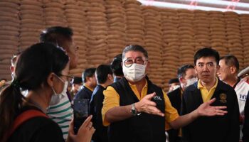 Старый рис ‘будет выставлен на аукцион в следующем месяце’