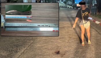 Таец и француз госпитализированы после поножовщины в Кароне