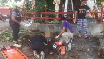 88-летний тайец погиб после того, как на его голову упала ветка дерева