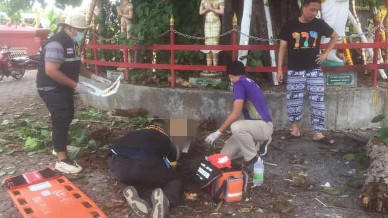 88-летний тайец погиб после того, как на его голову упала ветка дерева