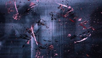 Арестован подозреваемый в убийстве 21-летней жительницы Пхетчабури