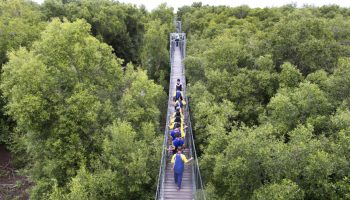 Бангпу хотят получить статус парка культурного наследия Асеан