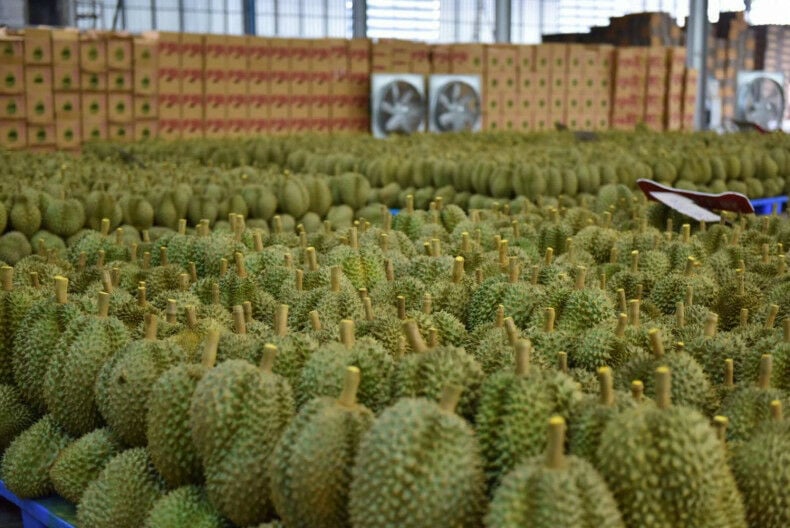 В мае резко вырос экспорт сельскохозяйственной продукции из Таиланда