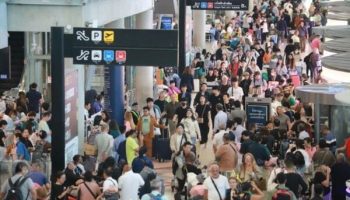 В Таиланде с 2006 года не было случаев заболевания людей птичьим гриппом