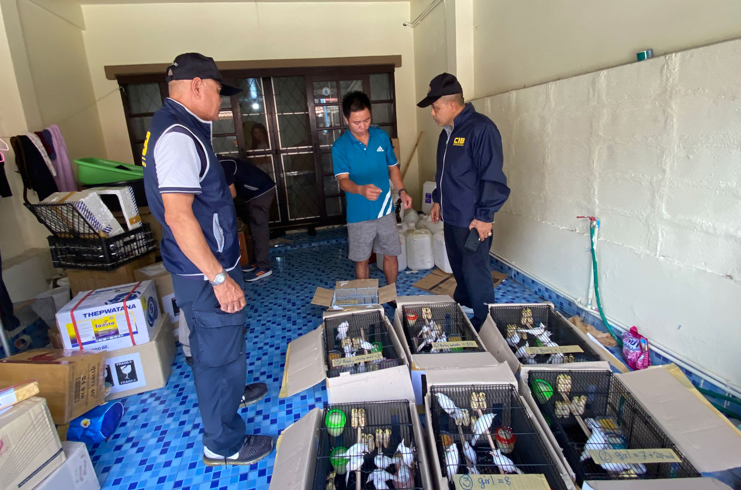 Вьетнамца арестовали с охраняемыми птицами