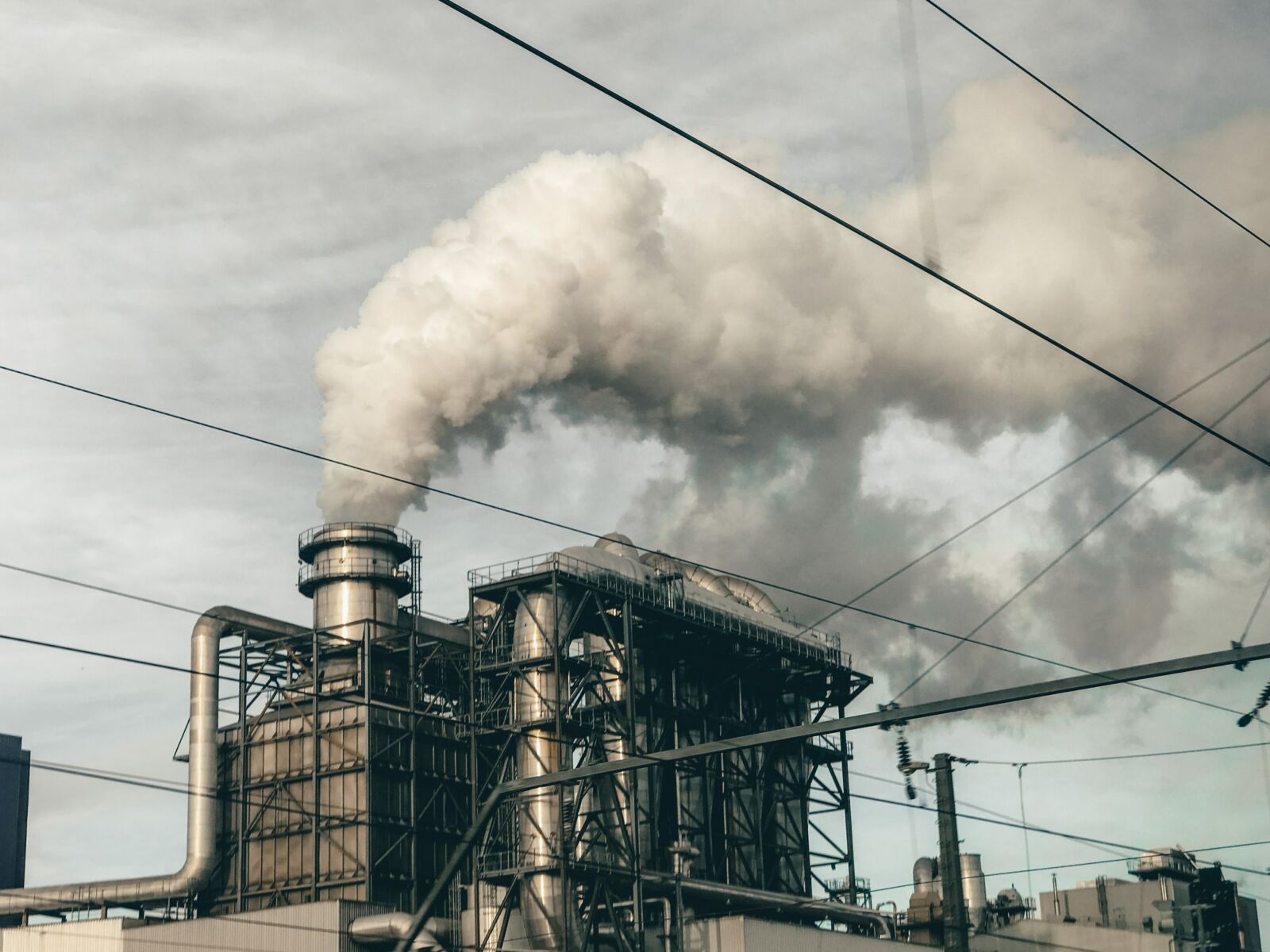 Гражданская группа представит законопроект о климате, нацеленный на углеродную нейтральность к 2035 году