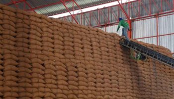 Запасы старого риса распроданы на аукционе