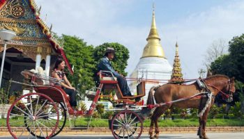 Лампы погасли: безудержным поездкам в конных экипажах Лампанга грозит конец
