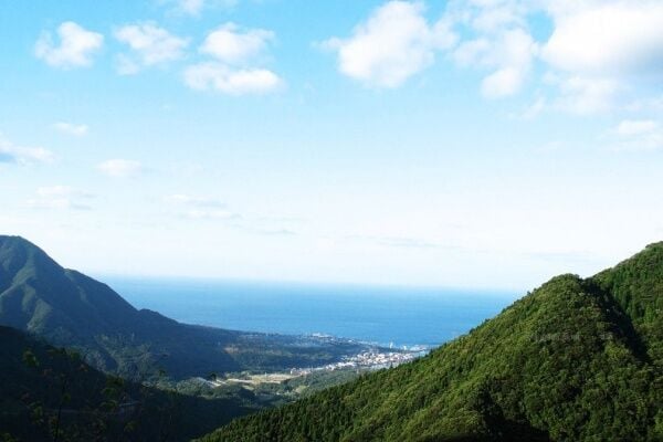 По словам эксперта, для устойчивого развития необходимо нечто большее, чем соблюдение требований ESG