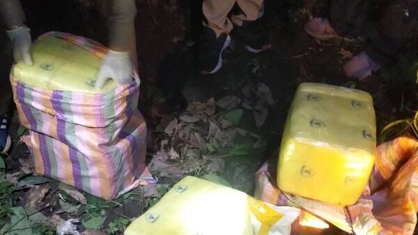 Полиция изъяла 1,1 миллиона таблеток метамфетамина, брошенных в Чианграе