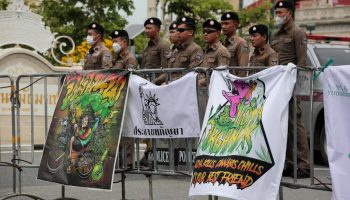 Протестующие против сорняков "никуда не денутся"