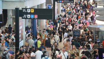 Путешественников призывают следить за симптомами птичьего гриппа