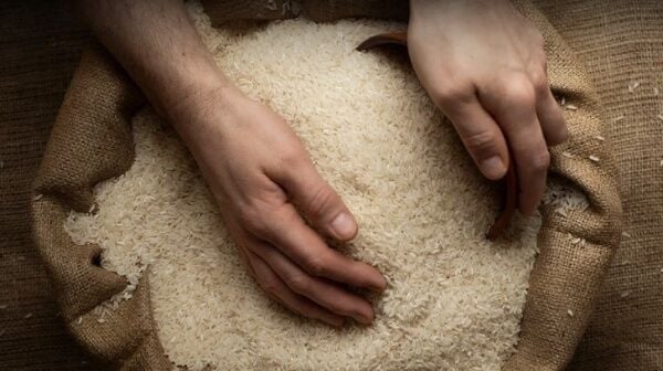 Рис по случаю: десятилетний рис продан за бесценок