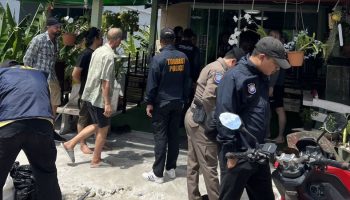 Россиянин арестован за незаконное хранение кораллов