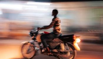 Россиянин арестован на Пхукете за незаконное обучение верховой езде