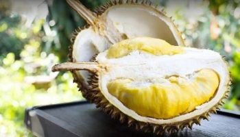 Таиландская дипломатия дуриана: выход на китайский рынок по-настоящему открыт