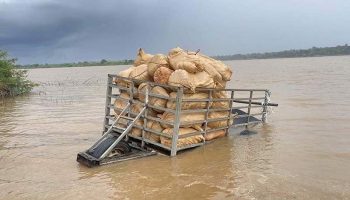 Тайская полиция занимается контрабандой тыквы из Лаоса в Мукдахан