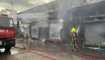 Тысячи домашних животных погибли в результате пожара на рынке Чатучак