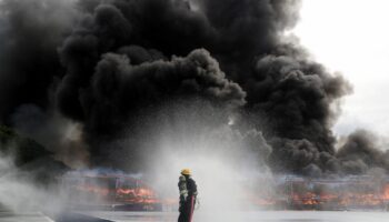 Хунта Мьянмы заявила, что "сталкивается с трудностями" в борьбе с опиумным бумом - Thai PBS World