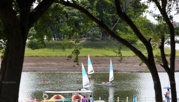 10 проектов, выбранных ко дню рождения короля