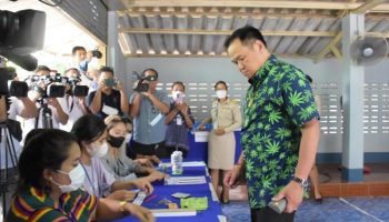 Анютин решительно выступает против повторной криминализации каннабиса