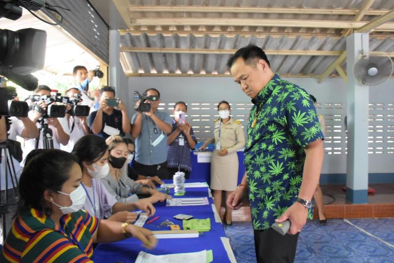 Анютин решительно выступает против повторной криминализации каннабиса