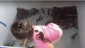 Бесстрашный тайский ребенок производит фурор с помощью "крокодилов" другого вида