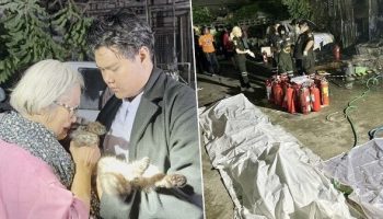 В результате пожара в здании в Бангкоке погибла 21 кошка, пятеро получили ранения