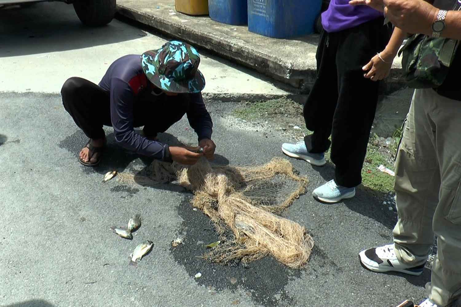 В таиландскую провинцию Самут-Пракан проникают чужеродные виды рыб