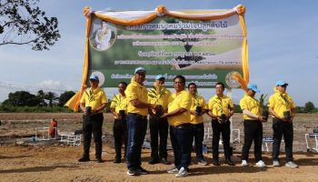 Великолепная елка Департамента автомобильных дорог в честь дня рождения кинга