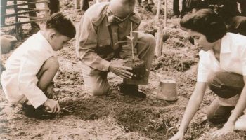 Вклады монарха