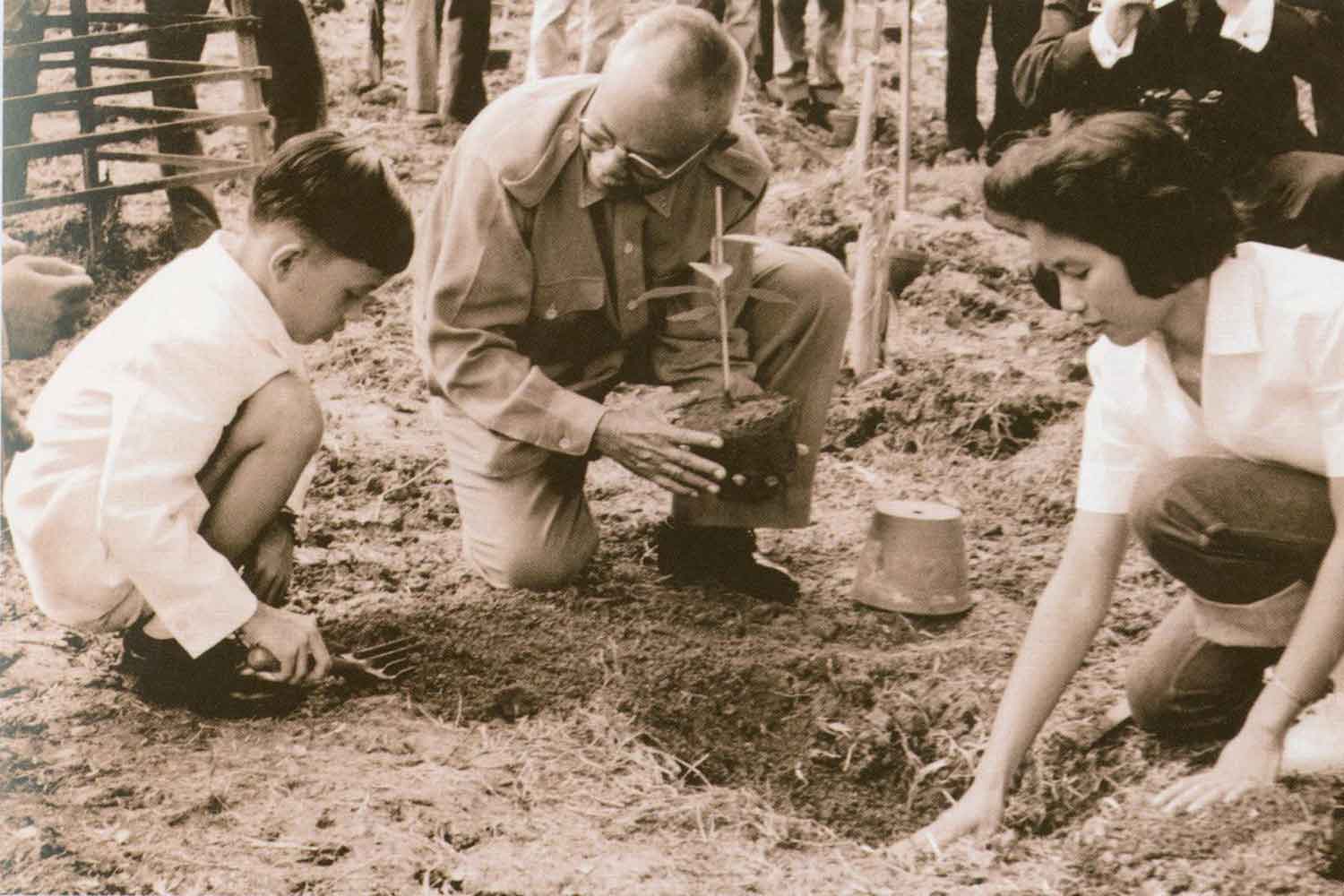 Вклады монарха