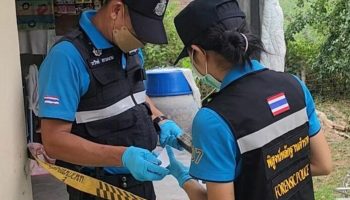 Внучка-инвалид погибла в результате убийства тайской женщины - попытки самоубийства