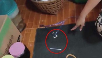 Грабитель крадет телевизор и вентилятор, употребляет наркотики и нюхает нижнее белье