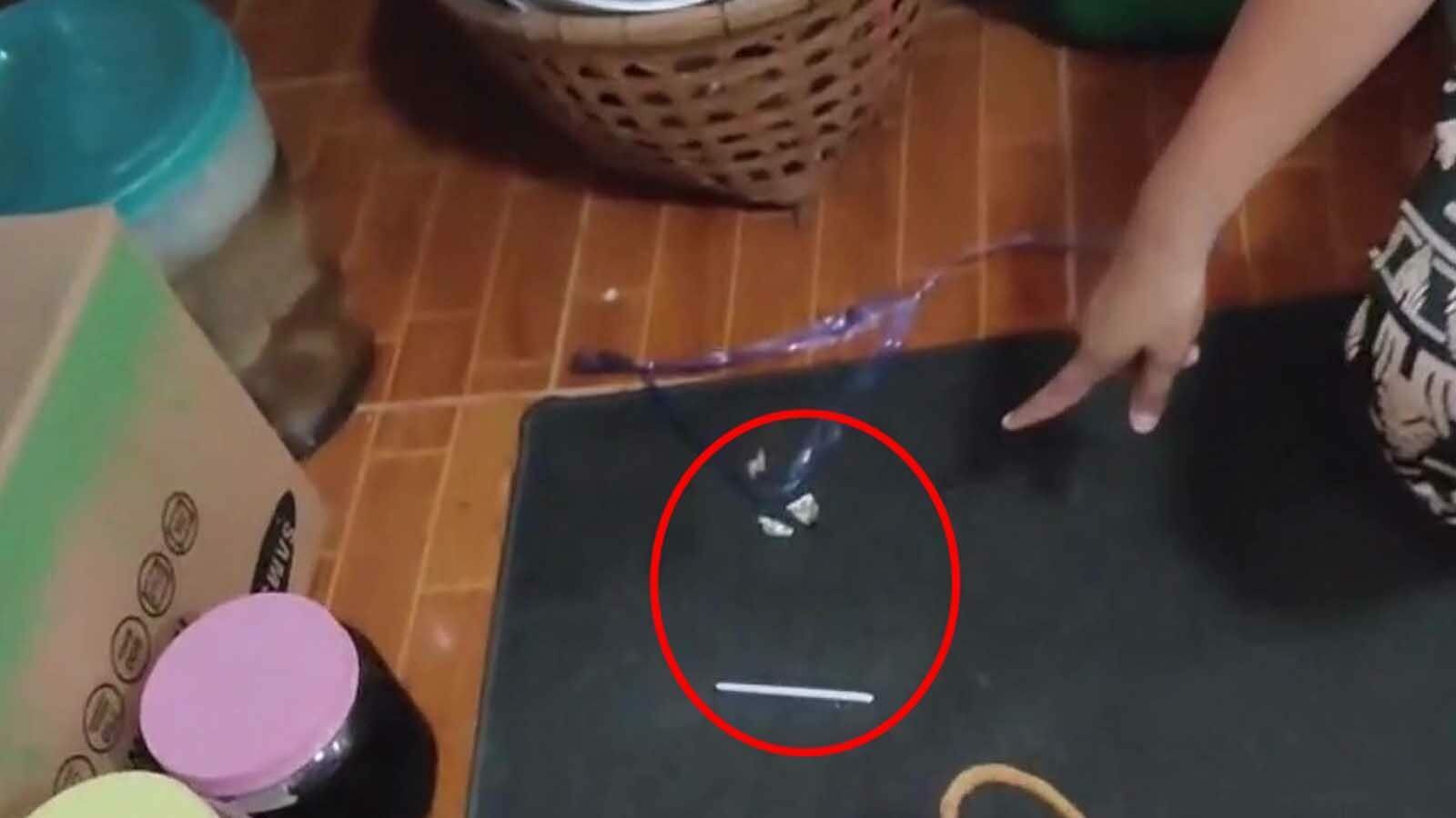 Грабитель крадет телевизор и вентилятор, употребляет наркотики и нюхает нижнее белье