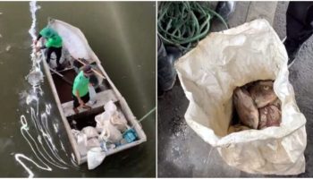 Губернатор Бангкока отправляется на рыбалку в поисках ответов на вопросы о гибели рыбы